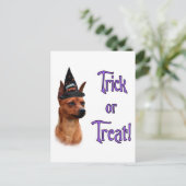 Miniature Pinscher Trick Postkarte (Stehend Vorderseite)