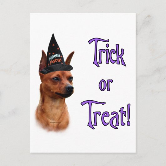 Miniature Pinscher Trick Postkarte (Vorderseite)