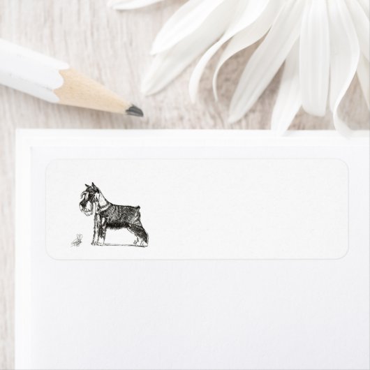 MINIATURE SCHNAUZER (Insitu)