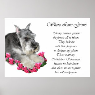 Miniature Schnauzer Art Geschenke Prints Poster