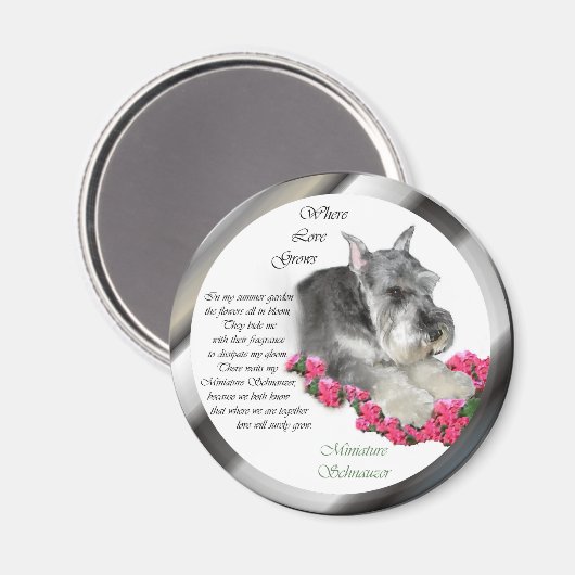 Miniature Schnauzer Art Ohrts Magnet (Vorderseite/Rückseite)