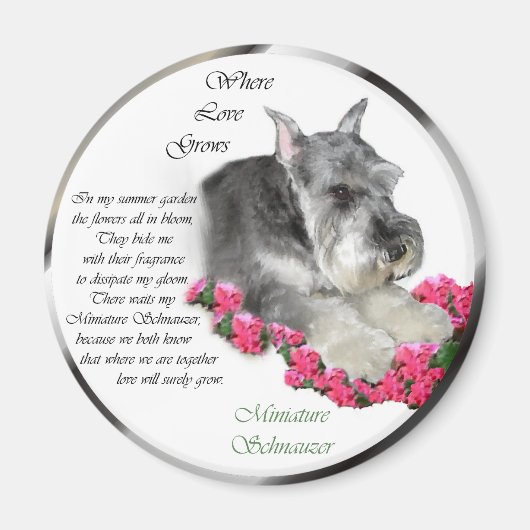 Miniature Schnauzer Art Ohrts Magnet (Vorne)
