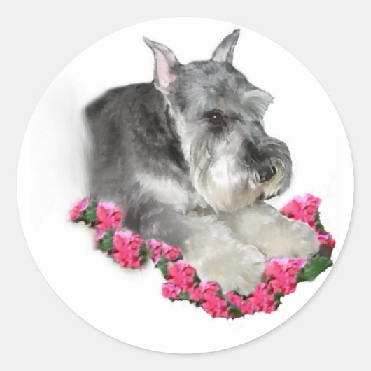 Miniature Schnauzer Art Ohrts Runder Aufkleber (Vorderseite)
