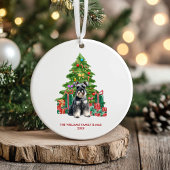 Miniature Schnauzer Dog Personalisierte Weihnachte Keramik Ornament
