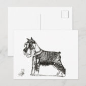 MINIATURE SCHNAUZER FEIERTAGSPOSTKARTE (Vorne/Hinten)