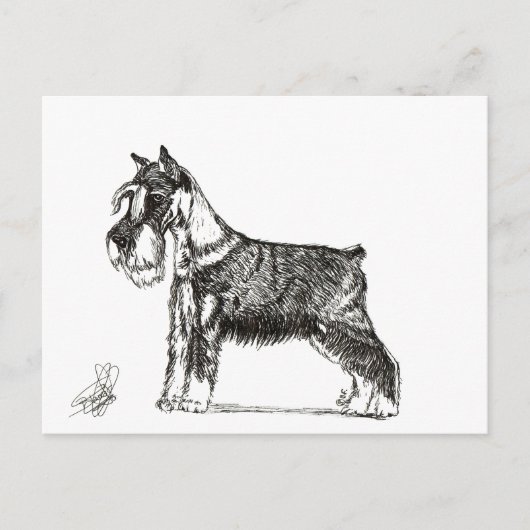 MINIATURE SCHNAUZER FEIERTAGSPOSTKARTE (Vorderseite)