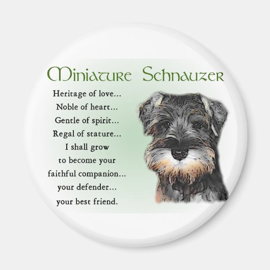 Miniature Schnauzer Geschenke Magnet (Vorne)