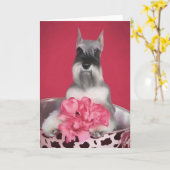 Miniature Schnauzer Grußkarte Karte (Gelbe Blume)