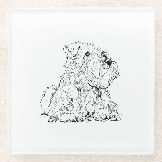 Miniature Schnauzer-Hundeillustration Glasuntersetzer (Vorderseite)
