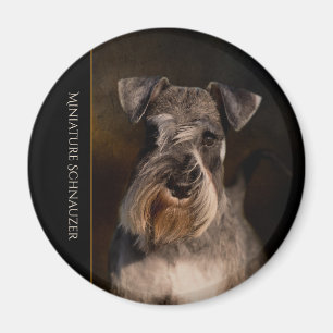 Miniature Schnauzer Kühlschrankmagnet