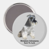 Miniature Schnauzer Magnet (Vorderseite/Rückseite)