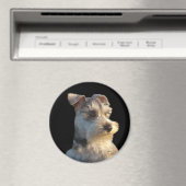 Miniature Schnauzer Magnet (In Situ (Geschirrspüler))