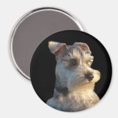 Miniature Schnauzer Magnet (Vorderseite/Rückseite)