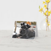 Miniature Schnauzer Note Card #4 - leer Karte (Gelbe Blume)