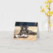 Miniature Schnauzer Note Card #6 - leer Karte (Gelbe Blume)