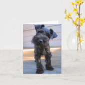 Miniature Schnauzer Note Card Nr. 1 - leer Karte (Gelbe Blume)