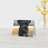 Miniature Schnauzer Note Card Nr. 3 - leer Karte (Gelbe Blume)