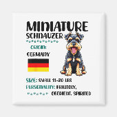 Miniature Schnauzer Origin Funny Mini Schnauzer Lo Magnet (Vorne)