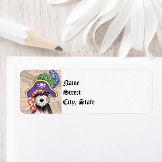 Miniature Schnauzer Pirate (Insitu)