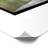 Miniature Schnauzer Poster (Ecke)