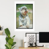 Miniature Schnauzer Poster (Heimbüro)