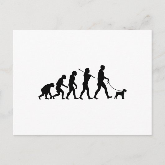 Miniature Schnauzer Postkarte (Vorderseite)