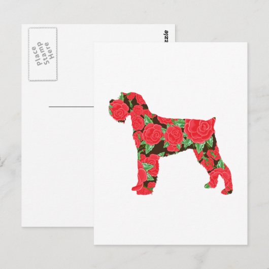 Miniature Schnauzer Postkarte (Vorne/Hinten)