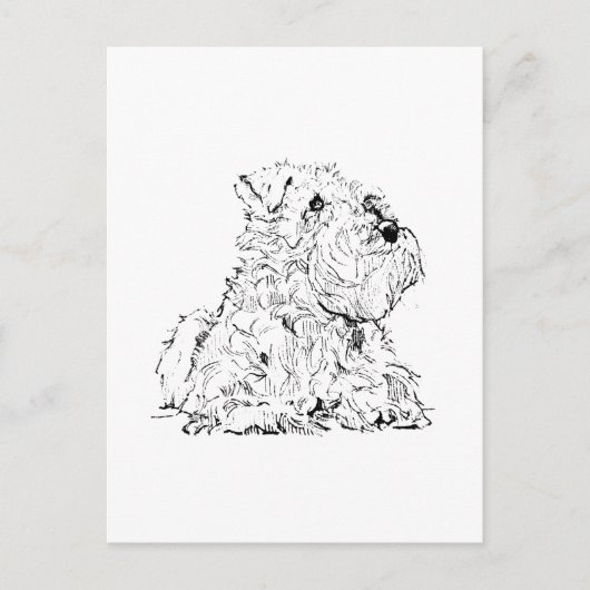 Miniature Schnauzer Postkarte – Hundeillustration (Vorderseite)