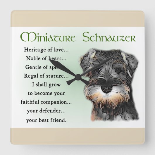 Miniature Schnauzer Puppy Heritage Quadratische Wanduhr (Vorderseite)