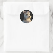 Miniature Schnauzer Sticker (Tasche)