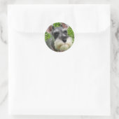 Miniature Schnauzer Sticker (Tasche)