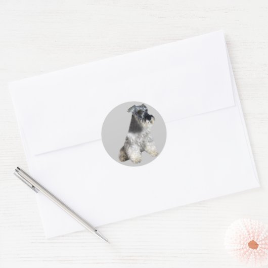 Miniature Schnauzer Sticker (Umschlag)
