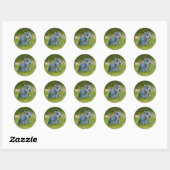 Miniature Schnauzer Sticker (Blatt)