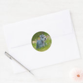 Miniature Schnauzer Sticker (Umschlag)