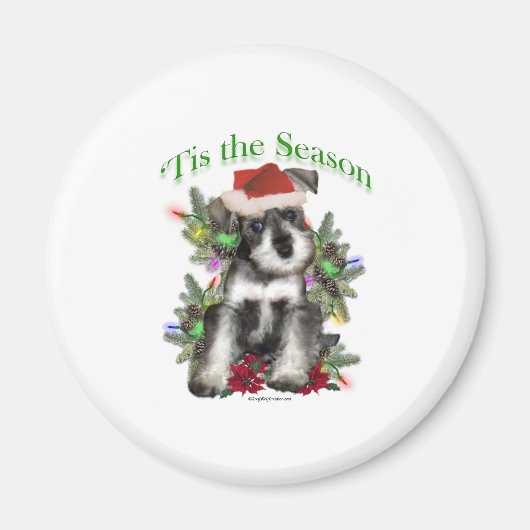 Miniature Schnauzer "Tis Magnet (Vorne)