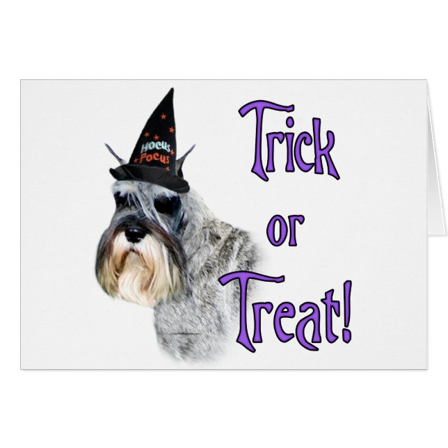 Miniature Schnauzer Trick (Vorderseite (Horizontal))