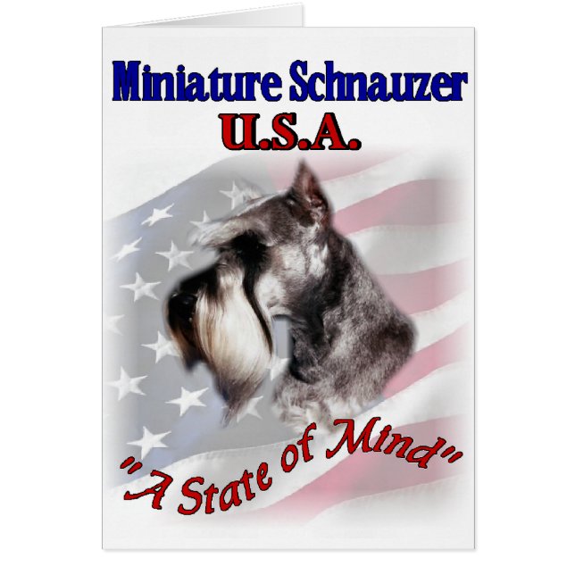 Miniature Schnauzer USA (Vorne)