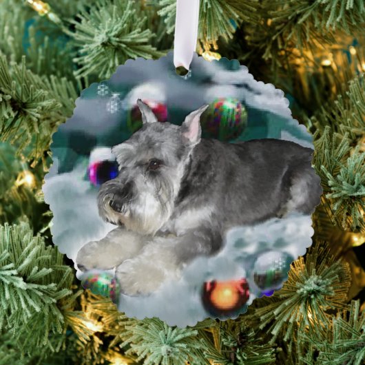 Miniature Schnauzer Weihnachtsgeschenke Ornament Karte (Insitu (Baum))
