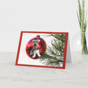 Miniature Schnauzer Weihnachtskarte Ball Hanging Feiertagskarte