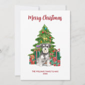 Miniature Schnauzer Weihnachtskarte Feiertagskarte (Vorderseite)