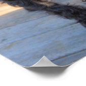 Miniature Schnauzer Welpenposter Poster (Ecke)