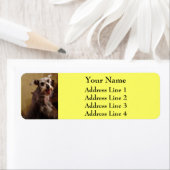 Miniature Schnauzer Yellow Rücksendeadressen-Aufkl (Insitu)