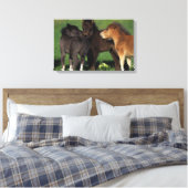 Miniaturfohlen 1 leinwanddruck (Insitu (Schlafzimmer))