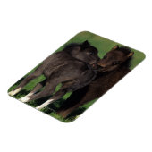 Miniaturfohlen 1 magnet (Linke Seite)