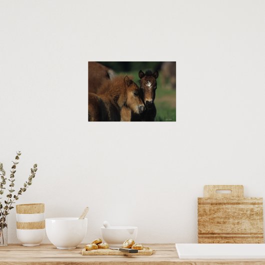 Miniaturfohlen 2 poster (Küche)