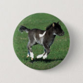 Miniaturfohlen-Betrieb Button (Vorderseite)