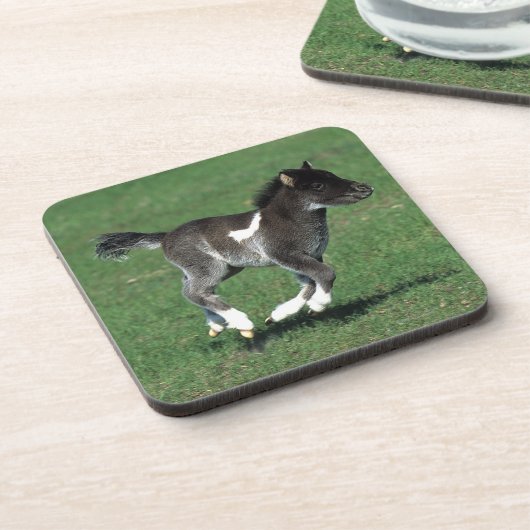 Miniaturfohlen-Betrieb Untersetzer (Linke Seite)