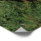 Miniaturfohlen im Gras Poster (Ecke)