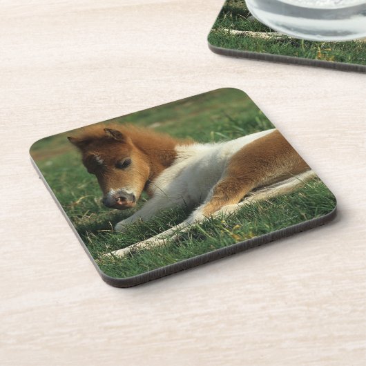 Miniaturfohlen-Niederlegung Getränkeuntersetzer (Linke Seite)