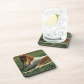 Miniaturfohlen-Niederlegung Getränkeuntersetzer (Rechte Seite)